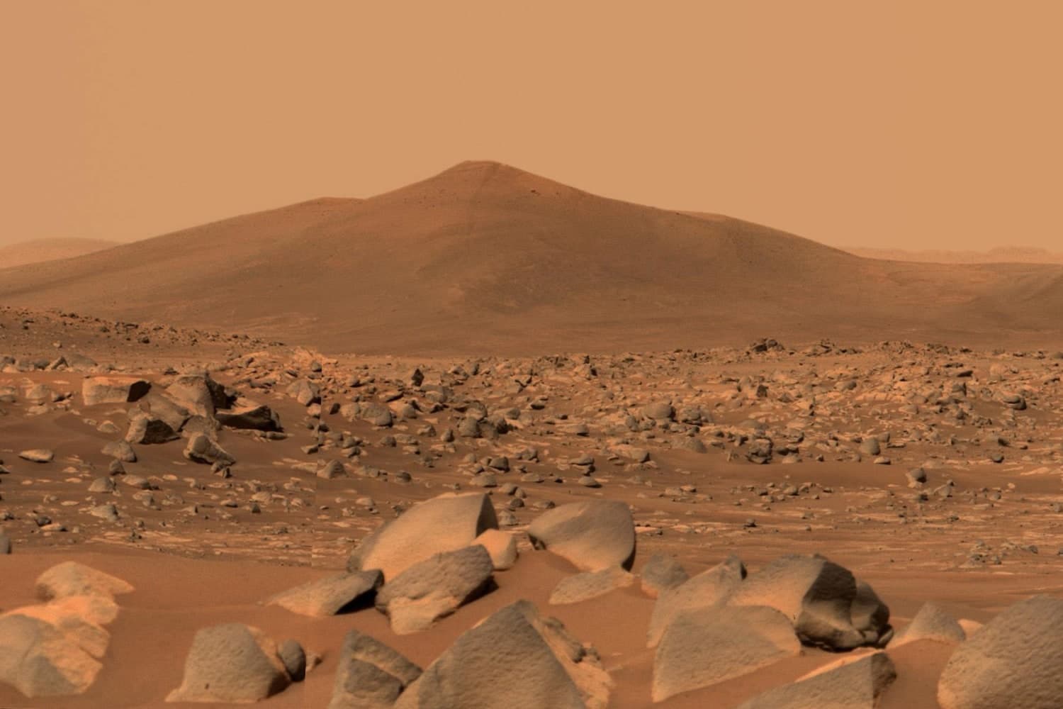 Elon's Martian Gambit: Billion-Dollar Bonuses and the High-Stakes Game for Mars